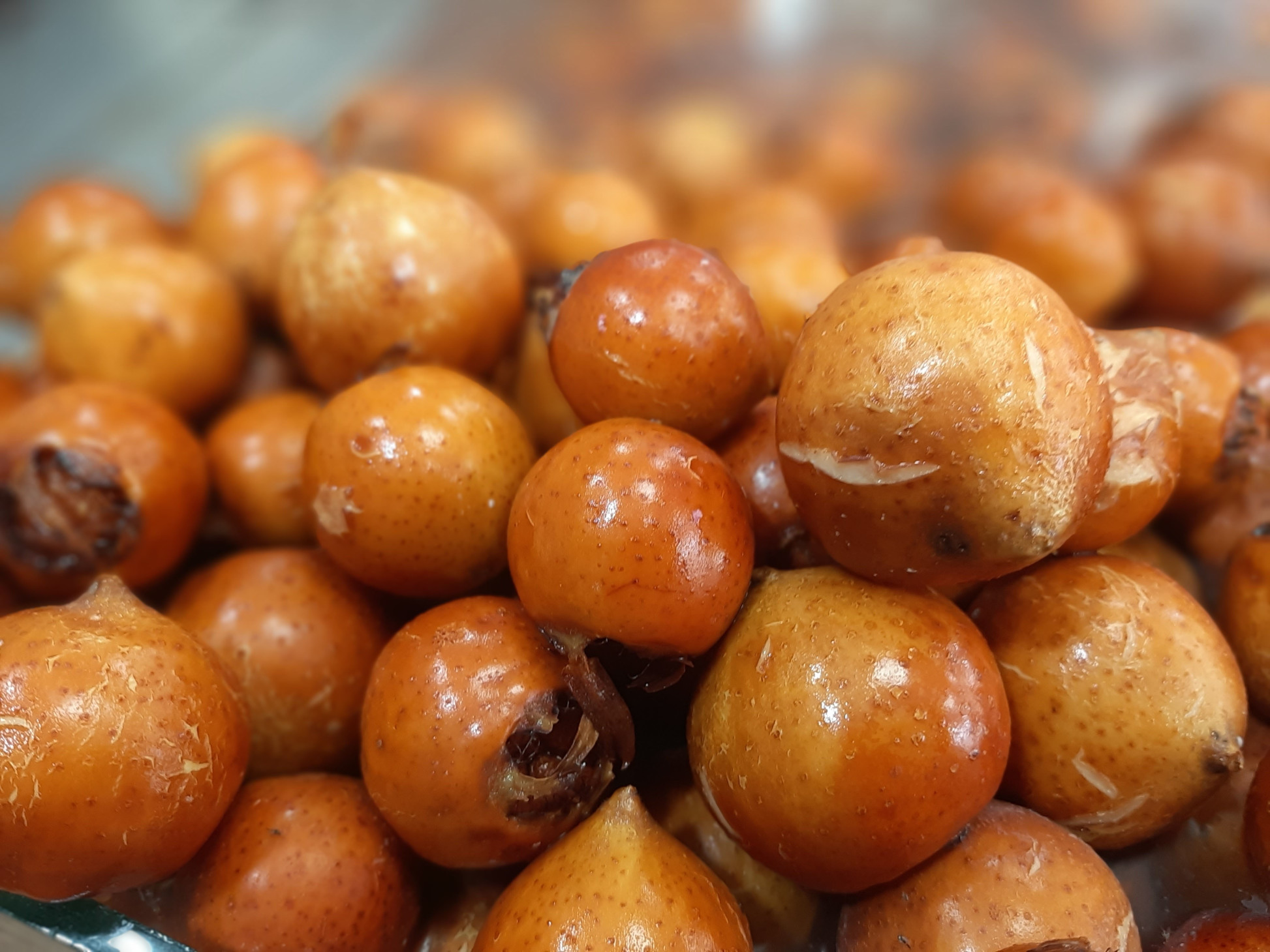 طرز تهیه ترشی ازگیل